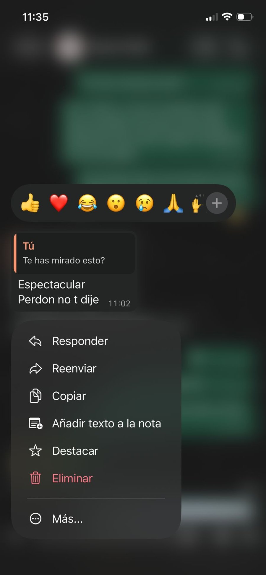 Mensaje de Jonathan, fundador de Monkey Rentals, tras recibir la web entregada